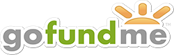 Go Fund Me logo